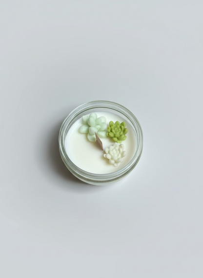 Succulents Candle