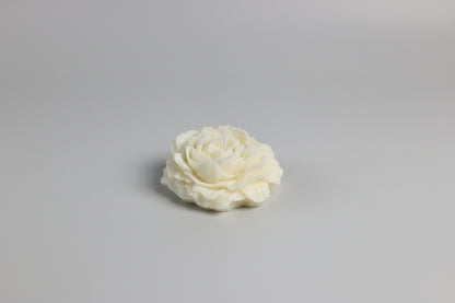 Candle Peony Flower